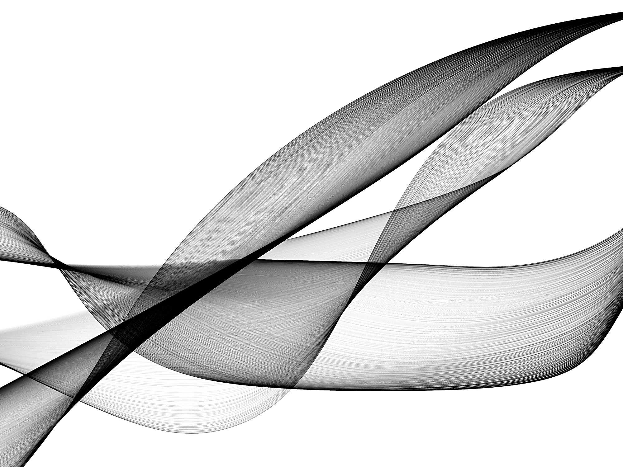 Abstract black and white background
